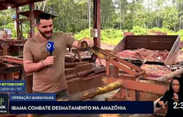 Ibama combate desmatamento na Amazônia