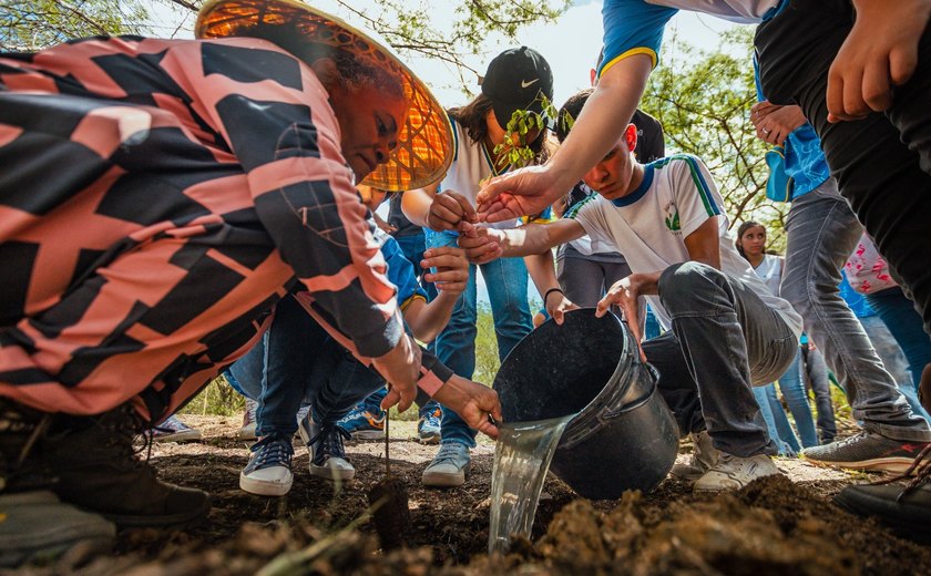 Arapiraca é a 1ª cidade de Alagoas a receber o selo Tree Cities, da ONU, de sustentabilidade