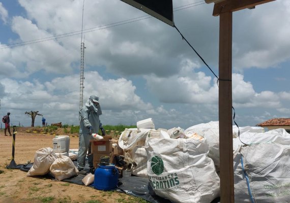 Campanha recolhe mais de 800 embalagens de agrotóxicos no Baixo São Francisco