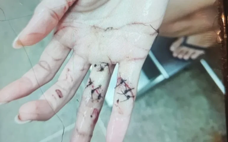 Homem é preso suspeito de tentar matar ex-companheira a facadas enquanto ela dormia