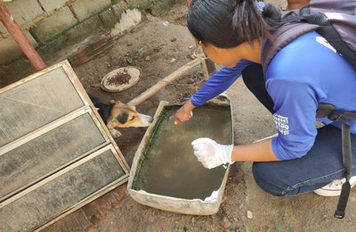 Secretaria de Saúde de Penedo realiza mutirão contra a dengue em conjuntos do bairro Dom Constantino