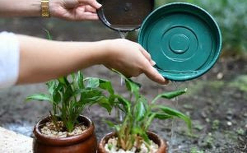 Condomínios se mobilizam na luta contra a Dengue