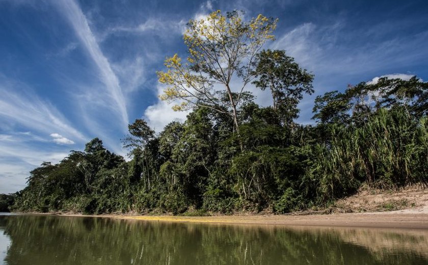 Saiba mais sobre o projeto que altera o licenciamento ambiental