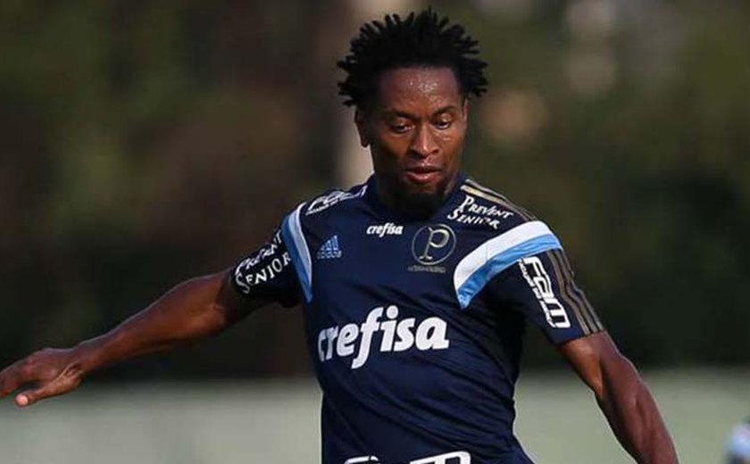 Zé Roberto diz que Palmeiras ainda briga pelo G-4: ‘Não jogamos a toalha’