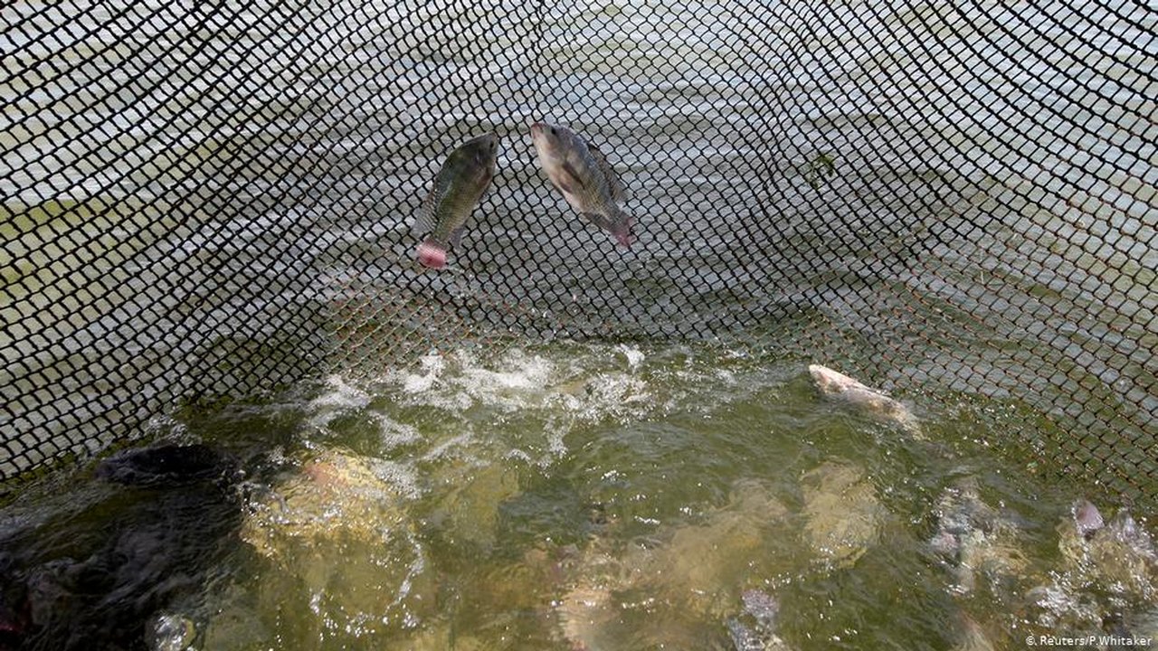Governo regulamenta pesca esportiva em áreas de conservação ambiental