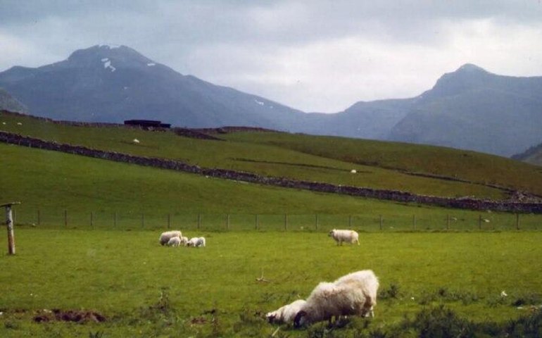 Arqueólogos revelam moeda medieval inédita da primeira cunhagem na Escócia