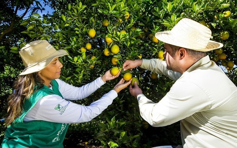 Senar Alagoas abre inscrições para cursos técnicos em Fruticultura, Agronegócio e Zootecnia