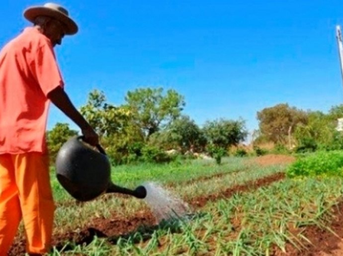 Governo vai entregar 466 títulos de terra para agricultores de 6 municípios