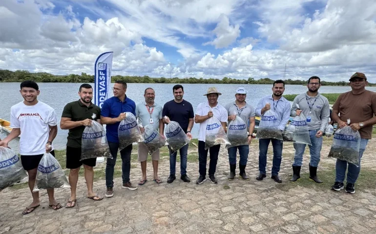 Bom Jesus 2026: Prefeitura de Penedo e Codevasf inserem cem mil alevinos no Rio São Francisco