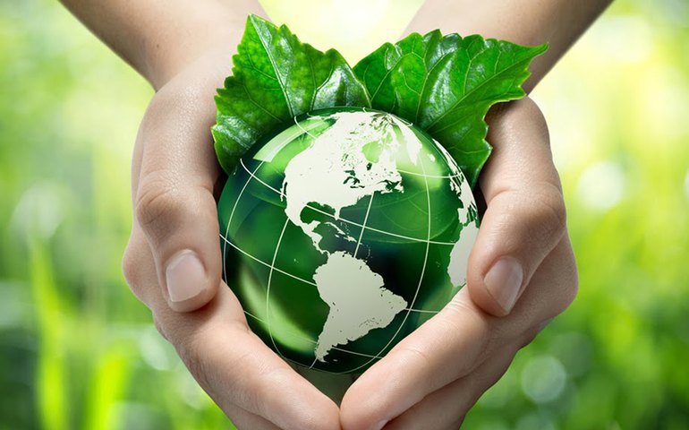 Mercado de créditos de carbono limita a emissão dos gases do efeito estufa