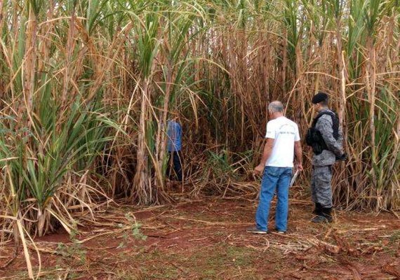 Ativista de direitos das mulheres é encontrada morta em canavial de El Salvador