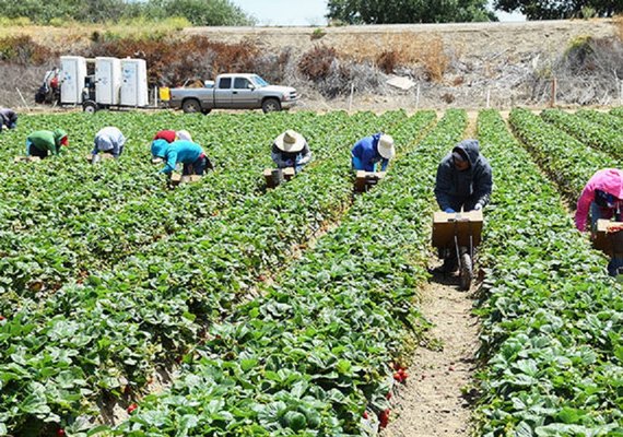 EUA bloqueiam importações de mais 26 empresas chinesas devido às alegações de trabalho forçado