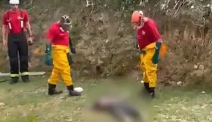 Corpo é encontrado boiando em grota. Fonte: Internet