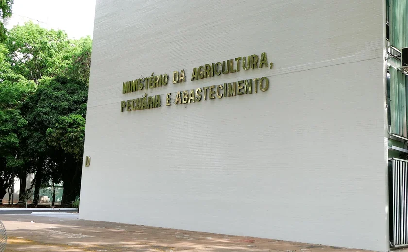 Ministério da Agricultura confirma abertura de 4 mercados da China para produtos brasileiros