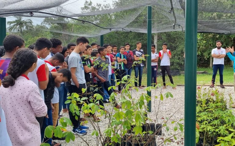 Dia da Árvore: IMA celebra data e intensifica ações de arborização e reflorestamento
