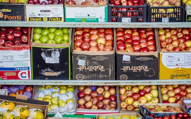 Exportação de frutas brasileiras aos EUA corre sério risco após nova tarifa de 50%, diz mídia