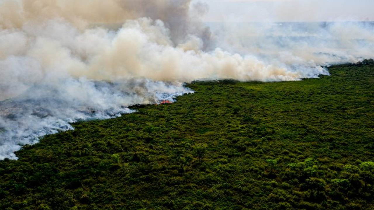 Queimadas na Amazônia aumentam em 23% as internações por causas respiratórias, mostra estudo