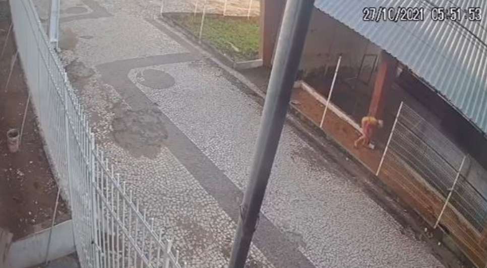 Abandono de gatos em Lagarto.PNG / Foto: Reprodução/SSP