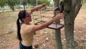 SAGUI SOLTO