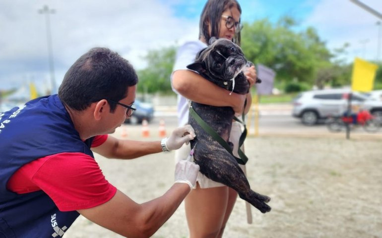 Com cobertura ampliada, Prefeitura realiza mutirão de vacinação antirrábica neste sábado (27)