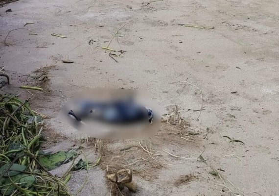 Ossada humana é encontrada na praia de São Miguel dos Milagres e levanta suspeitas sobre desaparecimentos na região
