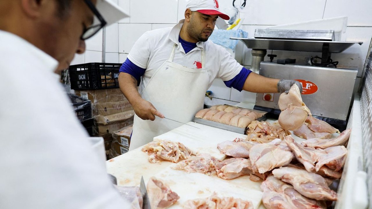 Gripe aviária: 17 países suspendem restrição à carne brasileira 