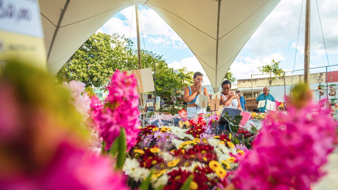 Arapiraca se torna a capital das flores neste mês das mães