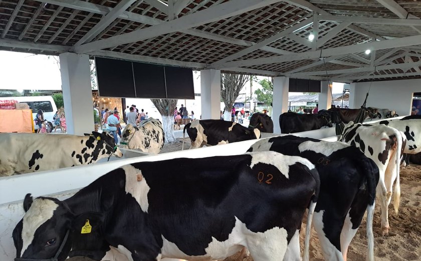 Último dia da 39ª Expo Bacia será marcado por visita de autoridades e premiações