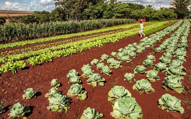 PAA é retomado com reajuste e prioridade a mulheres, negros e indígenas