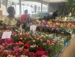 WhatsApp Image 2026-04-14 at 13.26.31.jpeg 