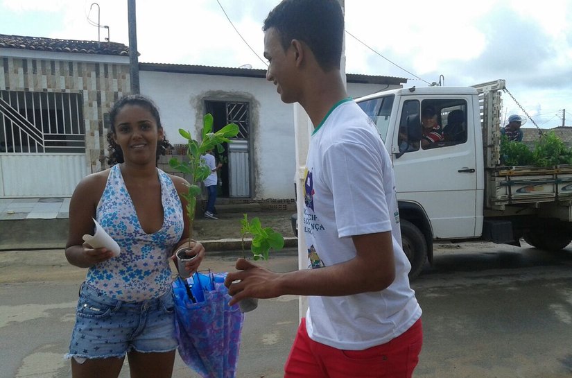 Mudas de Crotalária são distribuídas em São Miguel dos Campos