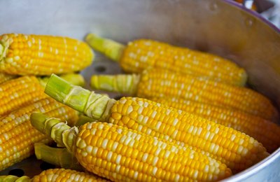 Dia do milho: nutricionista da Uninassau esclarece mitos sobre o cereal 