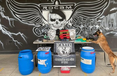 PM apreende cerca de 20kg de drogas, duas armas e dinheiro no interior de Alagoas