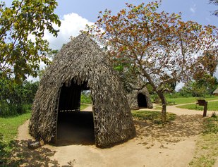 Quilombo dos Palmares – Uma viagem à Terra da Liberdade