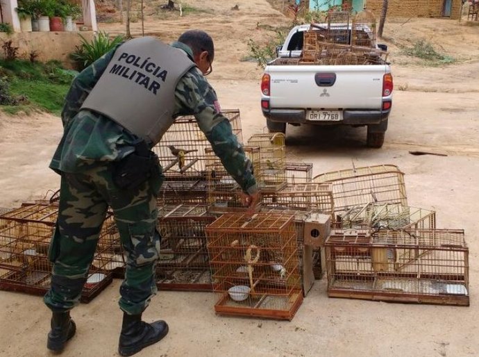 Fiscais realizam soltura de aves e caranguejos na APA Costa dos Corais
