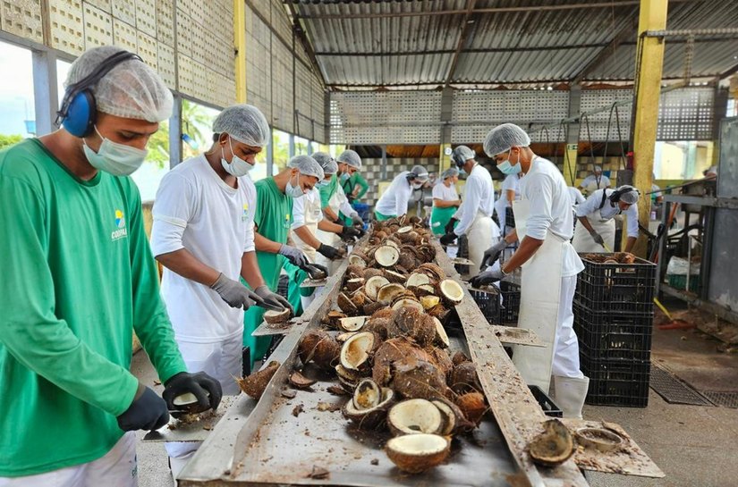 Chamada pública prioriza associações e cooperativas de comunidades tradicionais para abastecer escolas indígenas e quilombolas