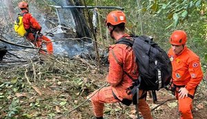 Equipe dos Bombeiros precisou avançar por área de mata de difícil acesso para chegar à aeronave, que caiu perto do Cristo Redentor