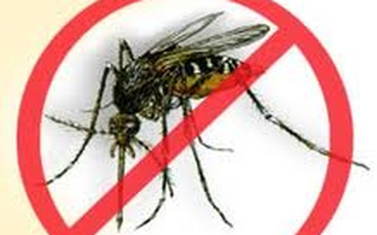 Maceió: Plano de Combate à Dengue será oficializado 5ª feira