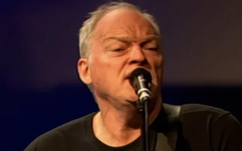 Presença de morcegos protegidos pode impedir reforma na propriedade de David Gilmour na Inglaterra