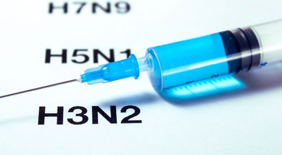 o-virus-influenza-a-h3n2-responsavel-por-uma-forma-grave-doenca-5ac6704edacbd.jpg