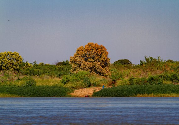 Membros do CBHSF realizam alinhamento sobre o edital para implantação de projetos de Saneamento Rural