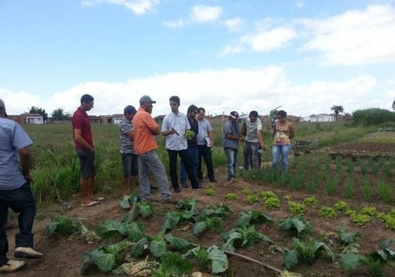 Produtores do APL Horticultura recebem capacitação sobre boas práticas