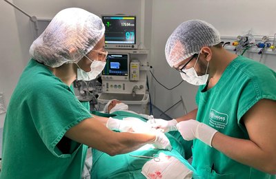 Agora Tem Especialistas: Mutirão de cirurgias reduz fila de espera de pacientes do Agreste alagoano