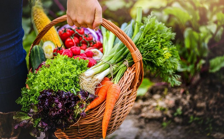 CRA vota projeto para facilitar doação de alimentos e combater desperdício