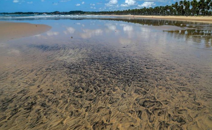 Mancha de óleo na praia do Paiva, em Pernambuco