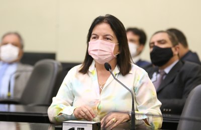 ALE aprova, em 1º turno, projeto que dispõe sobre o uso do nome afetivo para crianças em processo de adoção