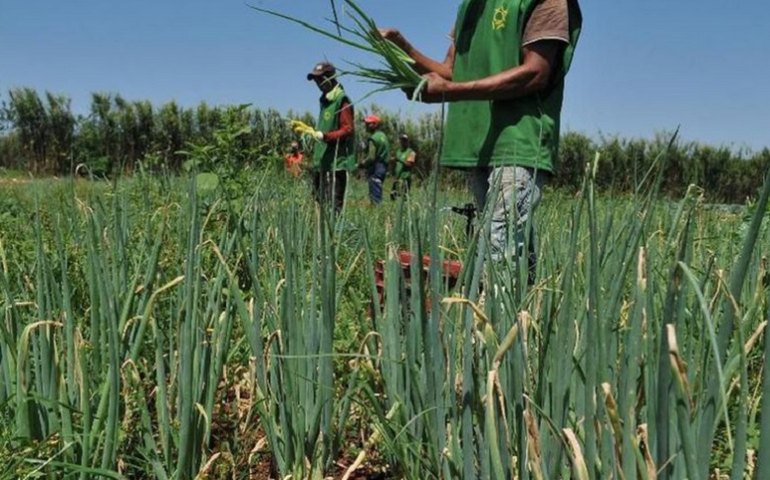 Governo Federal destina R$ 500 milhões para a compra de produtos da agricultura familiar