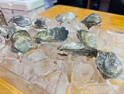 WhatsApp Image 2026-01-27 at 12.48.24.jpeg 