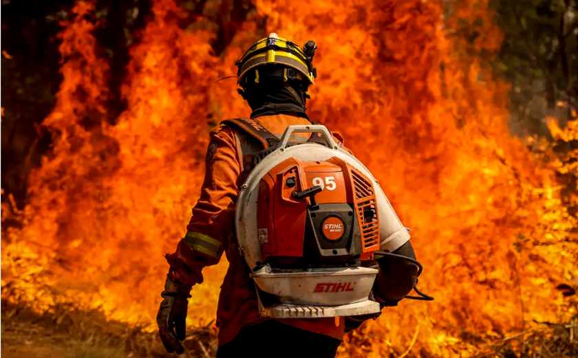 BNDES Destina R$ 180 Milhões do Fundo Amazônia para Corpos de Bombeiros