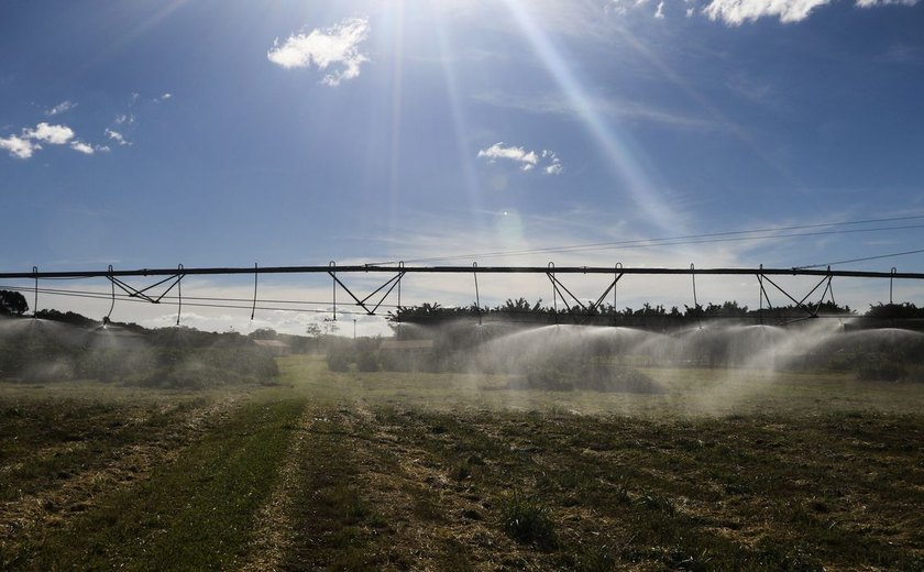 Valor bruto da produção agropecuária em 2025 deve crescer 11,5%, a R$ 1,419 tri, diz ministério